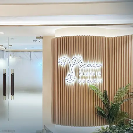 Picasso Plastic Surgery 